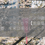 ヤマダホールディングスの適正株価はいくらですか？【家電量販の王者、未来は明るいのか？】